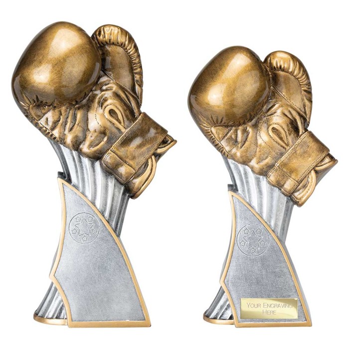 TOTAL KO BOXING RESIN TROPHY - 2 SIZES - 24CM - 26CM